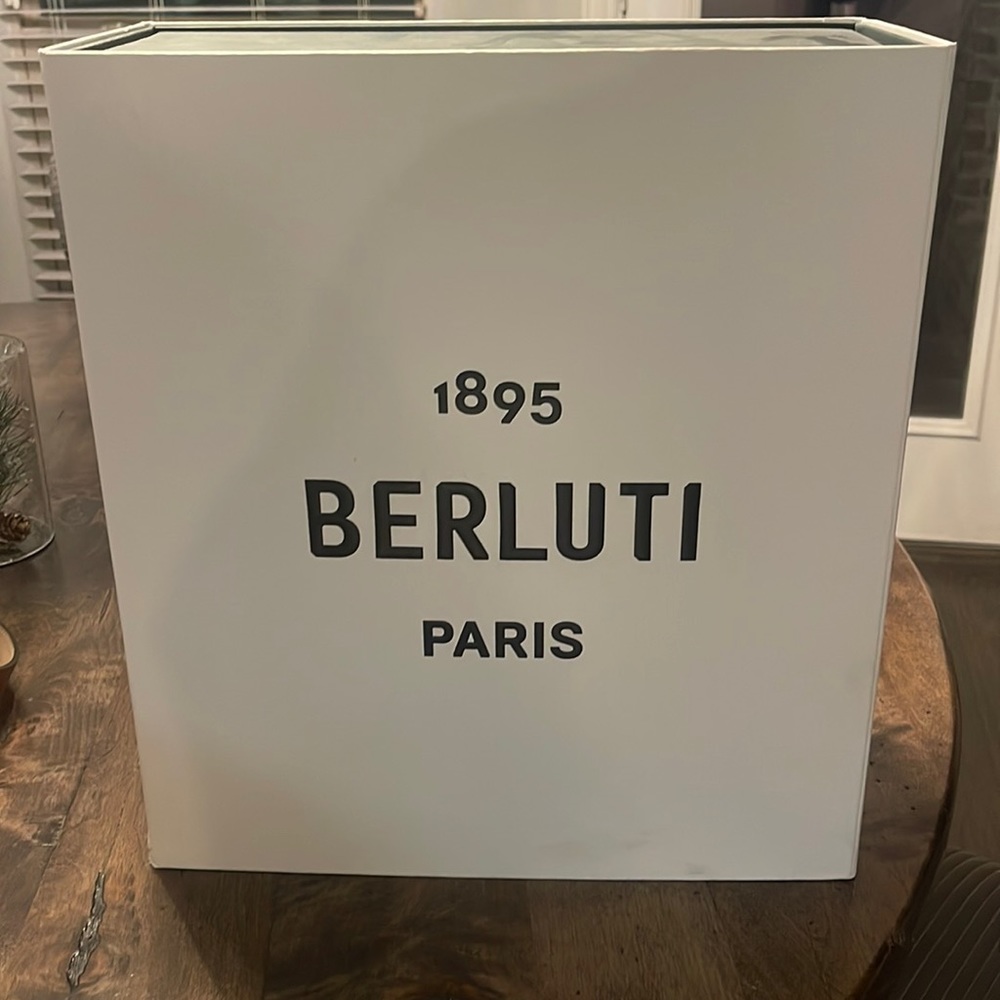 Brand new Berluti sneakers